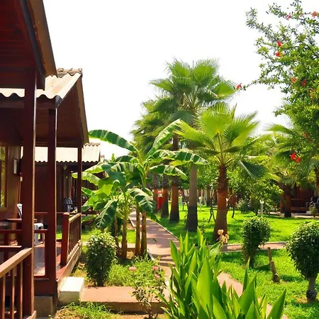 Aparthotel Dream Park 2*