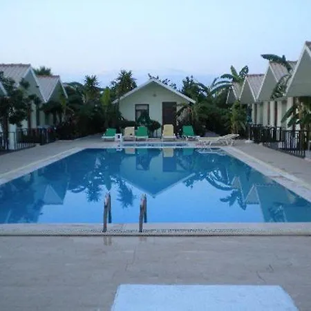 Dream Park 2*